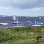 Segler und Surfer auf dem Bodden